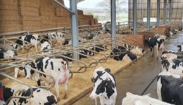 CREAM Awards winners walk: High performance and fertility in practice